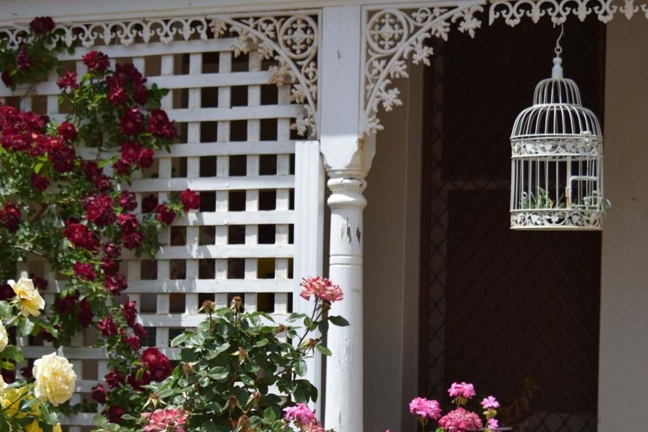Colorful flower garden with roses and birdcage, Quorn, South Australia.